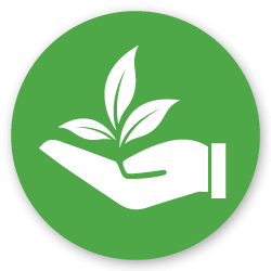 preserving the environment icon